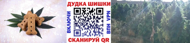 Купить закладки Анива Canna-Cookies конопля