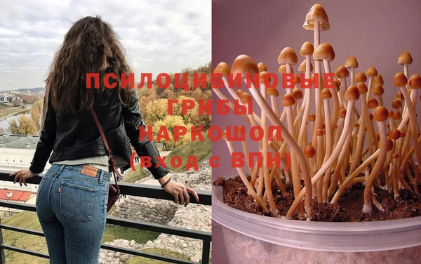 ECSTASY Белокуриха