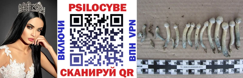 Галлюциногенные грибы прущие грибы  Купить  Анива 
